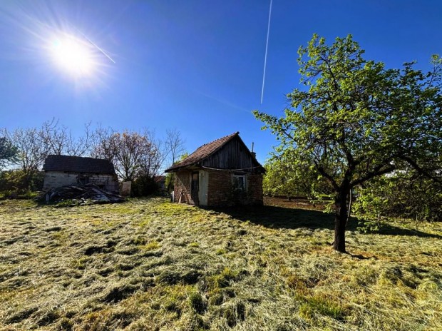 Elad� zagyvasz�nt�i �p�t�sitelek