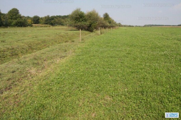 Eladó zártkert, Érpatak
