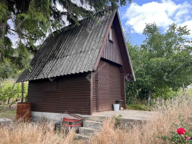 Elad� z�rtkert sz�l�vel Cs�kber�nyOrondpuszt�n