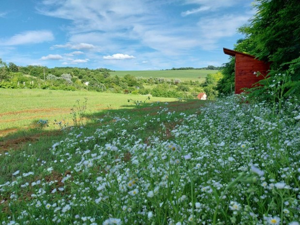 Elad� z�rtkert v�zzel, ipari �rammal, lak�aut�val Lovasber�nyben!