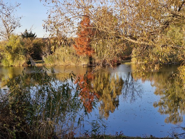 Elad� z�rtkerti telek a Holt- Tisza k�zel�ben