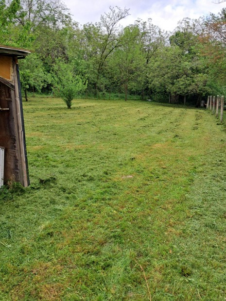 Eladó zártkerti telek a Malomvölgyi tó felett
