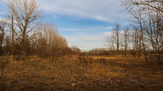 Elad� z�ldter�let, T�pi�szentm�rton