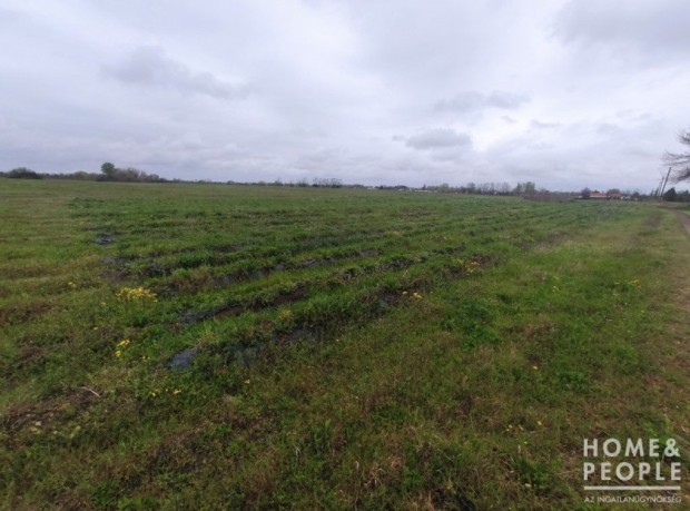 Elad� zsomb�i mez�gazdas�gi telek! - Zsomb�