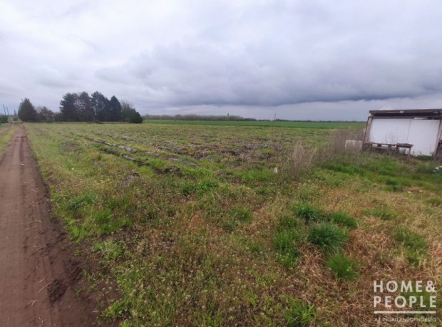 Elad� zsomb�i mez�gazdas�gi telek! - Zsomb�