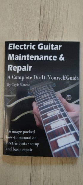 Electric Guitar Meitenance and repair 