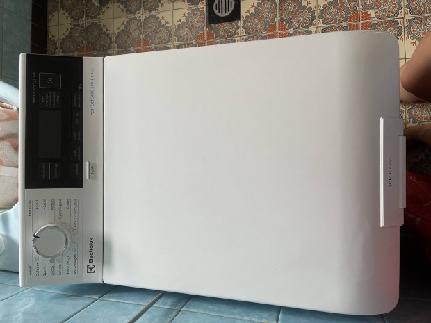 Electrolux Perfectcare 600