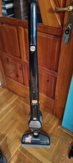 Electrolux ergorapido 12V akkumultoros porszv 