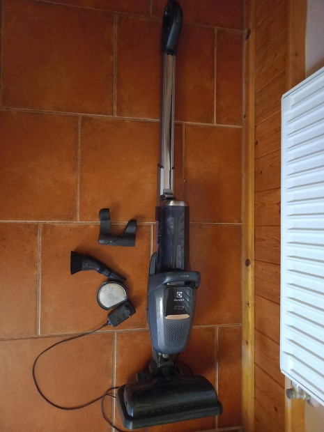 Electrolux pure F9 akkus porszv