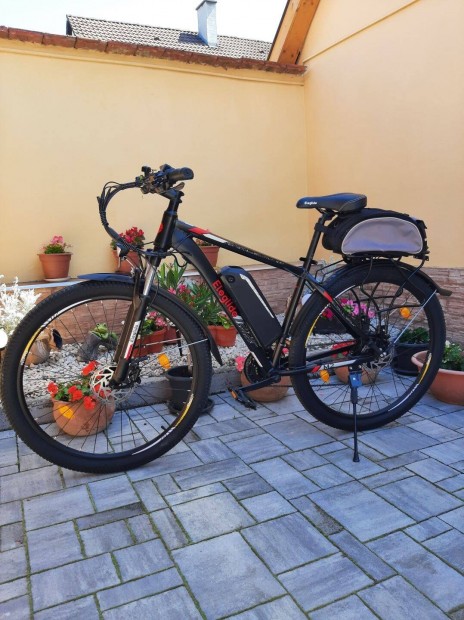 Eleglide M2 E-bike