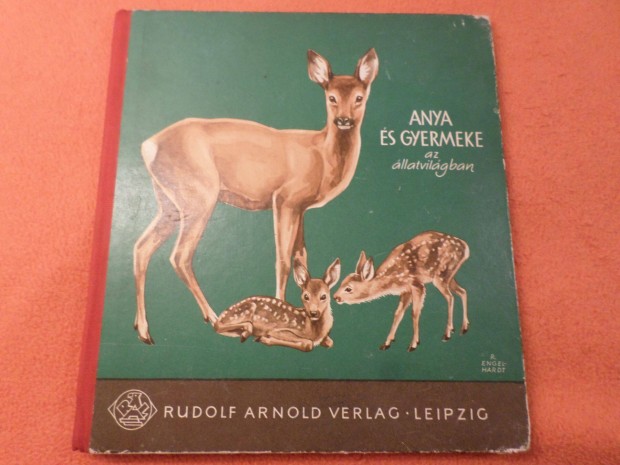 Elek István Anya és gyermeke az állatvilágban Antik! Gyermekkönyv,