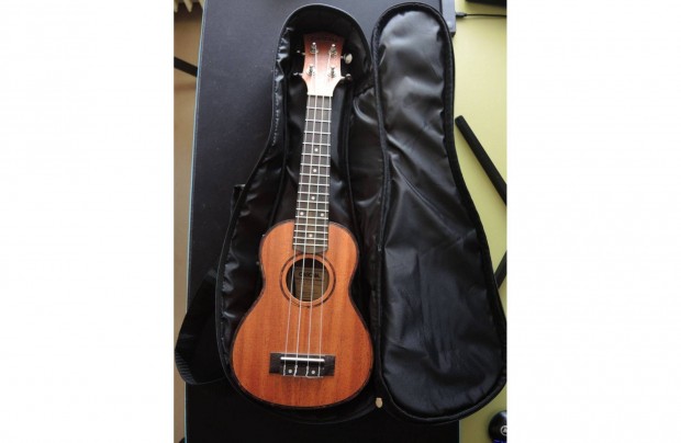 Elektromos Gitár Eladó