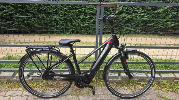 Elektromos Kerkpr Ebike Pegasus Trekking/Agyvlt/625Wh/Bosch 65Nm