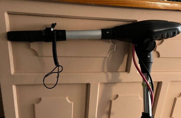 Elektromos csnakmotor; Haswing Protruar 4.0 G 130lbs 24V; fokozatment