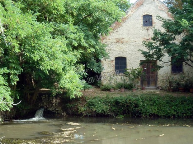 �let a  term�szet l�gy �l�n. 141_agr