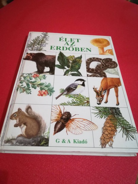 let az erdben