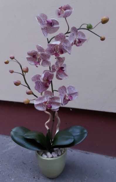 leth, m orchidea 