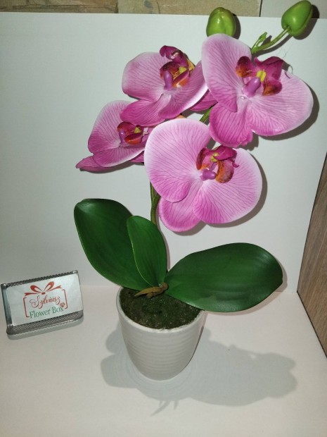leth,gondozsmentes  orchidea,39cm