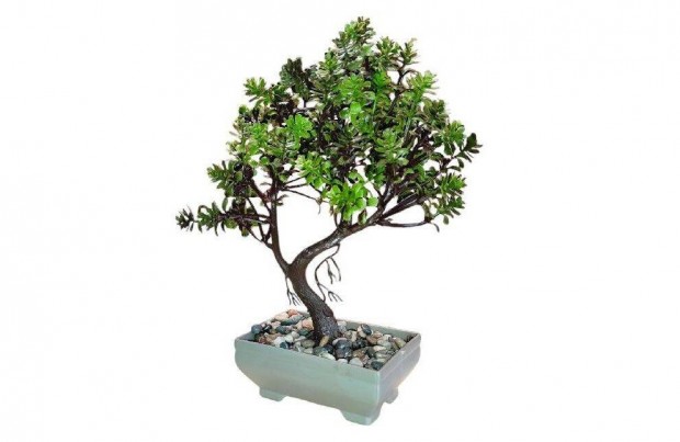 leth manyag Bonsai edny kavicsokkal 26 cm, stlusos otthoni dsz