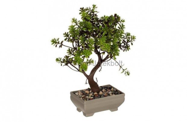 leth manyag bonsai edny kavicsokkal 26 cm