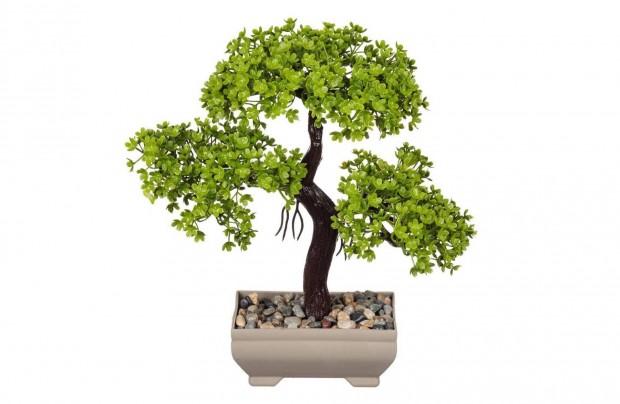 leth manyag bonsai fa 22 cm