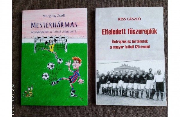 Elfeledett fszereplk - letrajzok s trtnetek a magyar futball 120