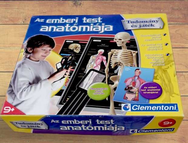Emberi test anatmija oktatjtk