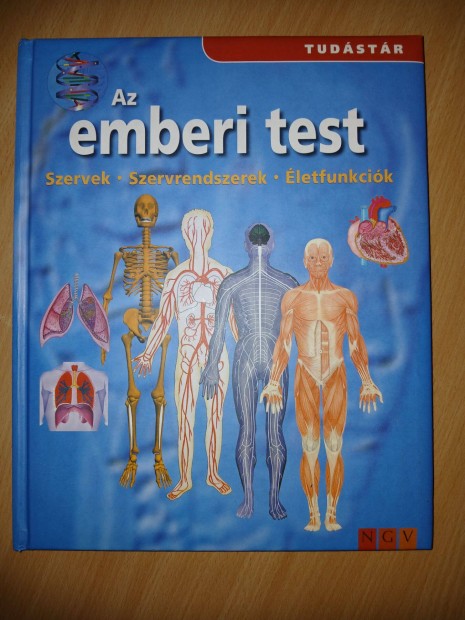 Emberi test könyv ált. iskolasoknak