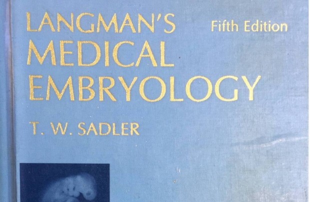 Embryology Langmans