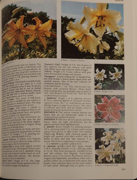 Encyclopaedia of garden plants and flowers