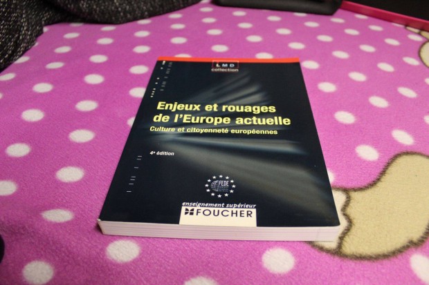 Enjeux et rouages de l'Europe actuelle-Franciaul-Uj