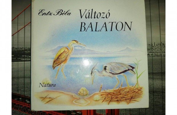 Entz Bla: Vltoz Balaton (let a vzben s a parton)