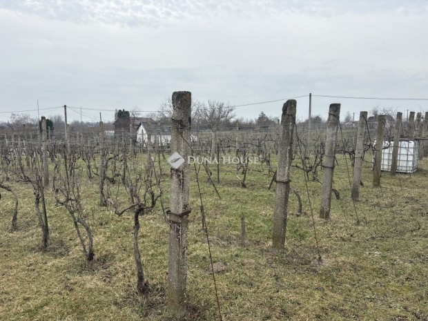 Enyingi 29 nm-es h�z elad�