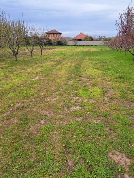 ptsi telek