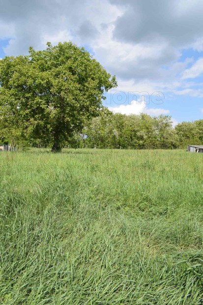 �p�t�si telek Felp�cen