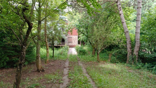 �p�t�si telek, fah�zzal Remetesz�l�s�n