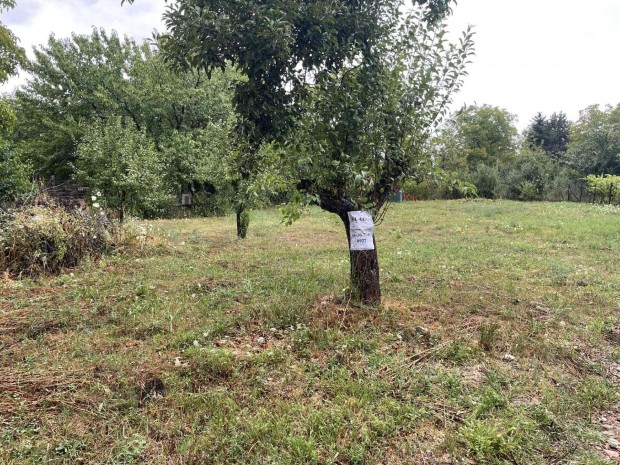 �p�t�si telek a Hars�nyi t� felett