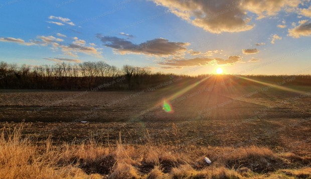 �p�t�si telek elad�