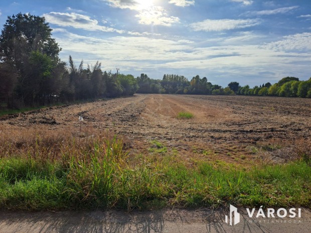 �p�tkez�knek, gazd�lkod�knak ide�lis telek