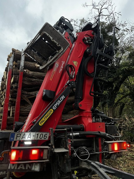 Epsilon C80Z89 2017 Erdszeti daru