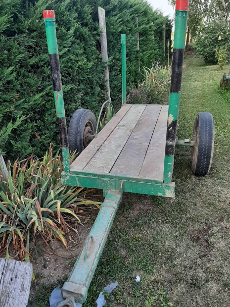 Erdei kikzelt