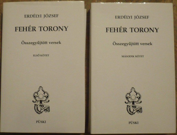 Erdlyi Jzsef: Fehr torony