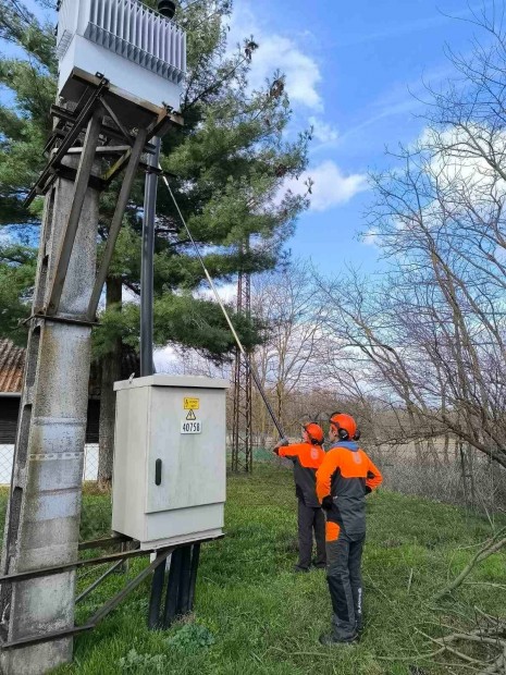 Erdészeti, kertészeti állás Nyíregyháza