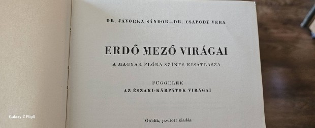 Erd Mez Virgai