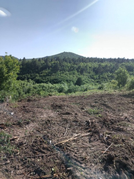 Erdőbénye Panorámás telek