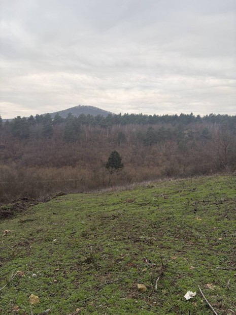 Erd�b�nye panor�m�s telek