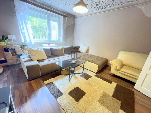 Erd�kertesi elad� t�gla csal�di h�z