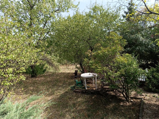 Erd�kertesi elad� telek