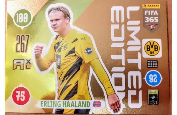 Erling Haaland Dortmund XXL Limited ris focis krtya Update 2021