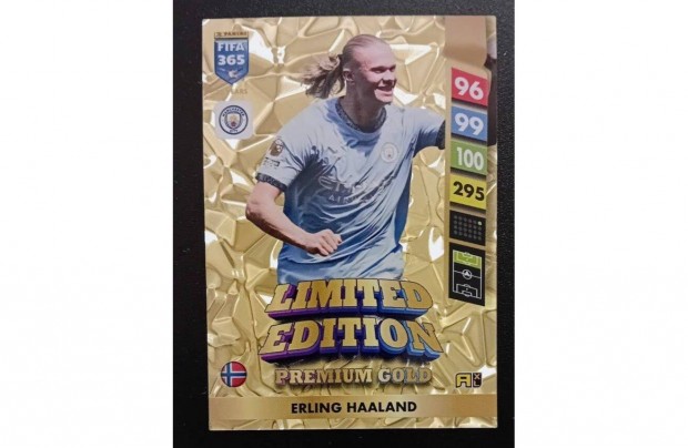 Erling Haaland Manchester City Premium Gold focis krtya FIFA 2025